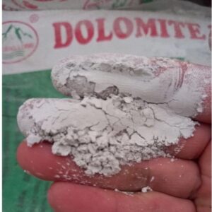 bot dolomite 3